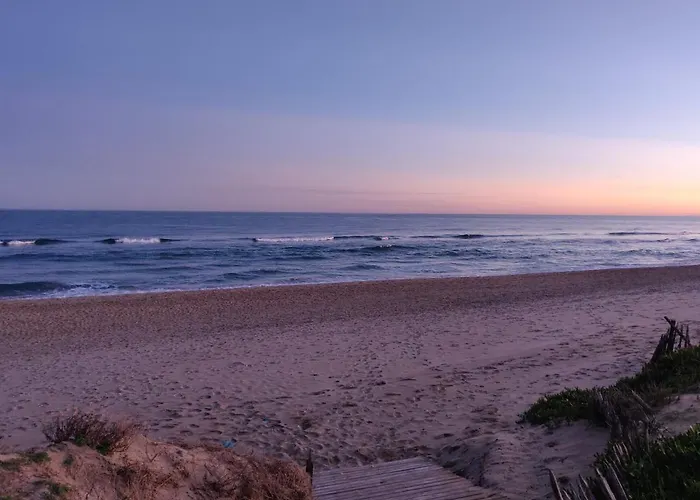 Clubber Naturiste Design * Agde